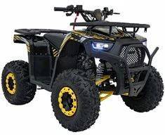 1Deame Benzininis keturratis 120CC DISCOVER, Geltona