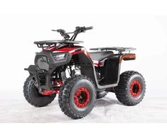 1Deame Benzininis keturratis 120CC DISCOVER, Raudona