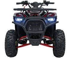 1Deame Benzininis keturratis 120CC DISCOVER, Raudona