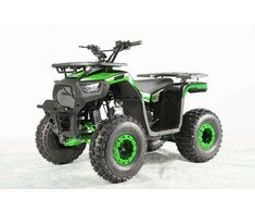 1Deame Benzininis keturratis 120CC DISCOVER, Žalias