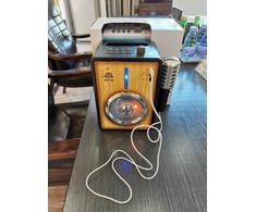 Ramiz Bluetooth stiprintuvas su mikrofonu vaikams