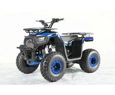 1Deame Mėlynas 125cc DISCOVERER Mėlyna benzininis keturratis