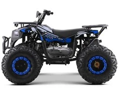 1Deame Mėlyna Benzininis keturratis 200CC MONSTER, Mėlyna