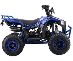 1Deame Mėlyna Benzininis keturratis 110CC EXPLORER, Mėlyna