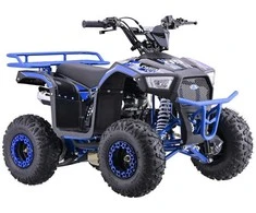 1Deame Mėlyna Benzininis keturratis 110CC EXPLORER, Mėlyna