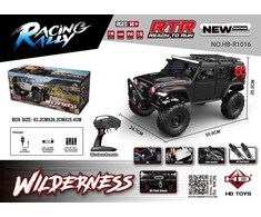 Nuotolinio valdymo automobilis WILDERNESS RTR 1:10 juodas (ZRC.HB-R1016)