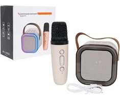 Ramiz Karaoke Microphone and Speaker Set