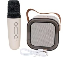 Ramiz Karaoke Microphone and Speaker Set