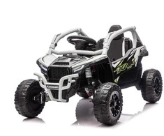 Elektrinis Buggy Kawasaki TERYX KRX1000, Pilkas