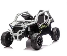 Elektrinis Buggy Kawasaki TERYX KRX1000, Pilkas