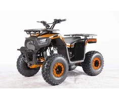 1Deame Oranžinis Benzininis keturratis 120CC DISCOVER, Oranžinis