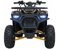 1Deame Oranžinis Benzininis keturratis 120CC DISCOVER, Oranžinis