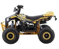 1Deame Benzininis keturratis 110CC EXPLORER, Geltona