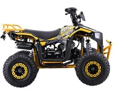 1Deame Benzininis keturratis 110CC EXPLORER, Geltona
