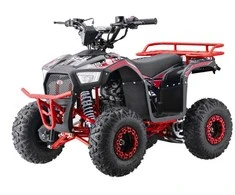 1Deame Benzininis keturratis 110CC EXPLORER, Raudona