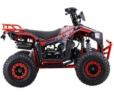 1Deame Benzininis keturratis 110CC EXPLORER, Raudona