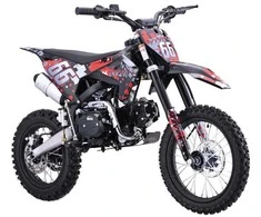 Static Control Benzininis motociklas 110CM IMMORTAL, Raudona