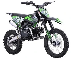 Ramiz Benzininis motociklas 110CM IMMORTAL, Žalias