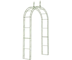 Mville „Rose Arch Lenz“ – senovinė žalia