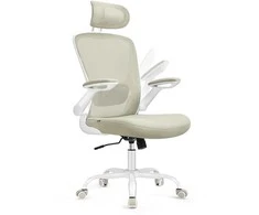 Songmics Ergonomiška biuro kėdė su tinkleliu cappuccino beige