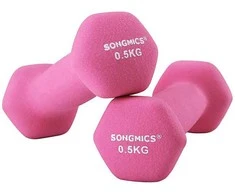 Songmics Hanteliai 2 x 0,5kg