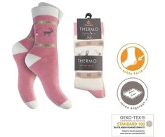 Frotinės termo kojinės moterims Footstar Thermo 68306, 3 poros
