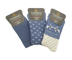 Frotinės termo kojinės moterims Footstar Thermo 68305, 3 poros, mėlynos