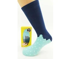 Kojinės vyrams Popsicle socks, 42-47