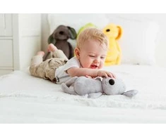 Dumel BALIBAZOO BB 81994 Cuddle Dog Pilka 28cm
