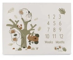 CEBA 309-000-729 Nuotraukų kilimėlis 92x72 Basic Koala*