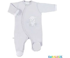 EVE 852632 NAUJAGIMIS klounas pilkas 62