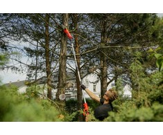 Grandininis pjūklas Elektrinis genėtuvas 25cm, su teleskopine rankena, skirtas medžių ir krūmų priežiūrai, elektrinis stulpinis pjūklas, teleskopinis genėtuvas