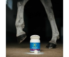 Biofarmab - sąnarių stipriklis - 450 g