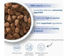 Catit - Receptai Premium sausas kačių maistas - suaugusioms žuvims - 400 gramų