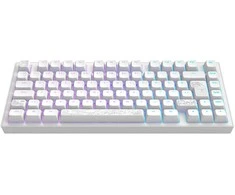 Klaviatūra Dark Project - Nostra Baltas 81 RGB