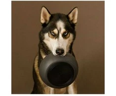 District 70 rajonas – BAMBOO Dog Bowl Medium Dark Pilkas – (871720261396)