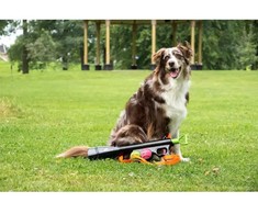Dog Comets - Comet Launcher - Bazooka - 61 cm x 18 cm
