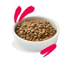 Edgard Cooper – Cat Senior Dryfood – Vištiena/Kalakutiena – 2kg