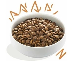 Edgard Cooper - Šviežia laisvai laikomų vištų mėsa 2,5kg - (542503948501)