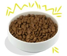Edgard Cooper – traški morka ir cukinija 2,5kg – (540700714917)