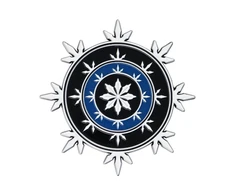 Fanatik „Dungeons &amp; Dragons“ riboto leidimo Neverwinter heraldikos medalionas