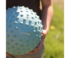 Find that hippo - Large sensory ball - Weldon Mėlyna (53100501)