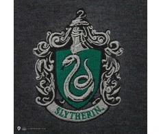 Vision Harry Potter Haris Poteris - Slytherin - pilkas megztinis - didelis