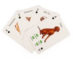 Kikkerland - Paws &amp; Play žaidimo kortos - (GG274)