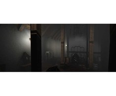 Koch Media MADiSON - Possessed Edition - PlayStation 4