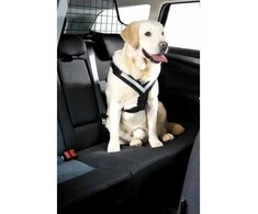 Mim – „Allsafe Medium“ 15–30 kg automobilio saugos diržai – patikrinti avarijų metu