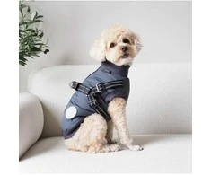 Nordic paws - Šuns kailis Thor su petnešomis 45cm - Antracitas - L