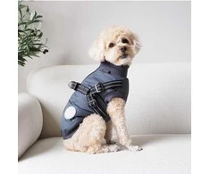 Nordic paws - Šuns kailis Thor su petnešomis 45cm - Antracitas - L