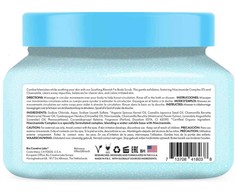 Petal Fresh - „Skin ResQ Soothing Blemish Fix“ šveitiklis nuo dėmių - 473 ml.