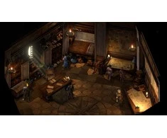 THQ Amžinybės stulpai II - „Deadfire“ - PlayStation 4
